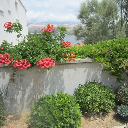 Apartment Veronika 1 Pag Town